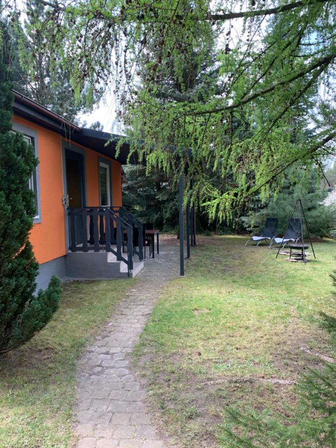 Pension Lausa Экстерьер фото