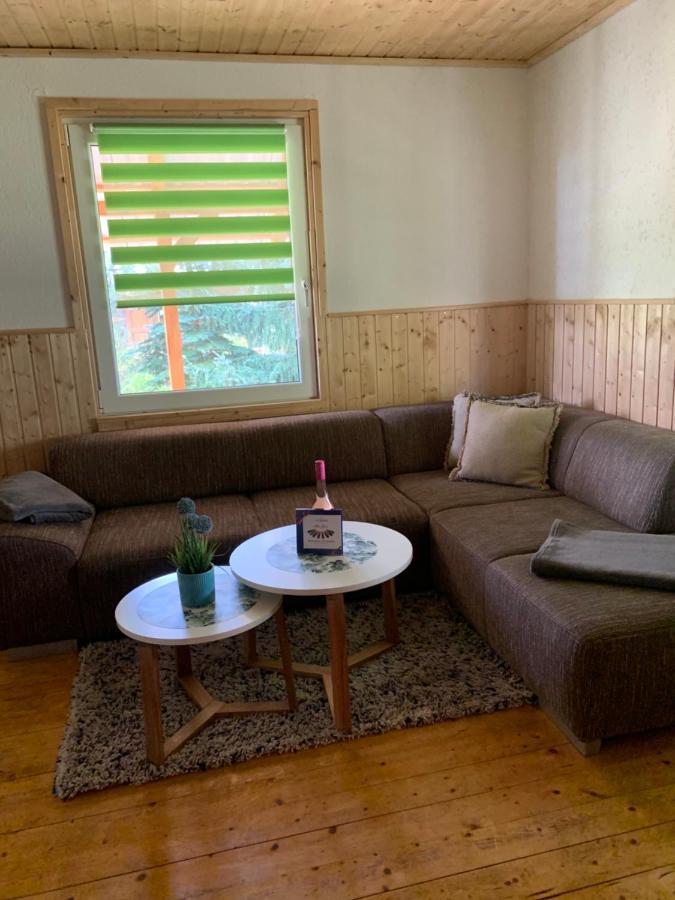 Pension Lausa Экстерьер фото